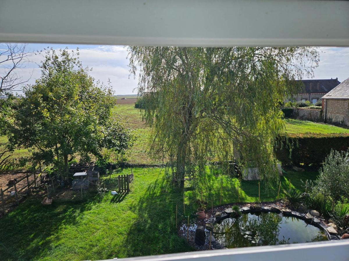 Au Nid Des Champs, Agreable Chambre D'Hotes, Proche De Chartres Dammarie  Exteriér fotografie